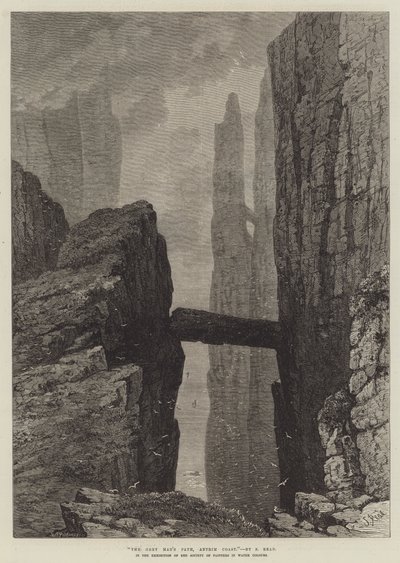 ಗ್ರೇ ಮ್ಯಾನ್ಸ್ ಪಾತ್, ಆಂಟ್ರಿಮ್ ಕೋಸ್ಟ್ ಟರ್ಕ್ by Samuel Read